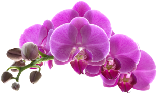 Best beauty parlour in Guwahati