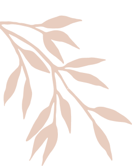 Blossom Beauty Parlour