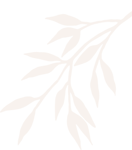 Blossom Beauty Parlour