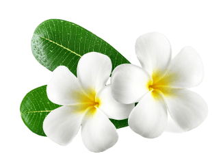 Ladies-only beauty salon in Bhangagarh Guwahati