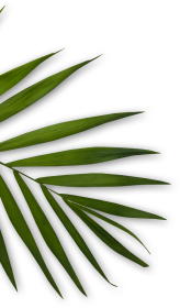 Blossom Beauty Parlour